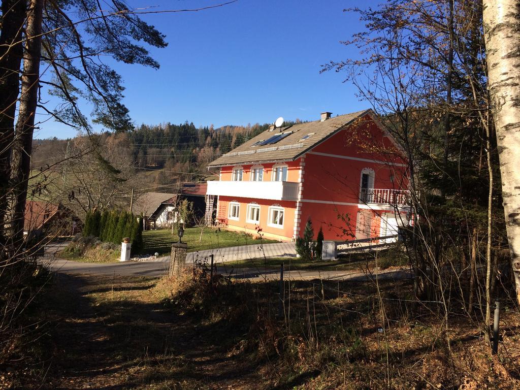 Апартаменти Pension Hadanig Techelsberg Номер фото